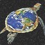 earth_turtle