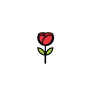 Rose 🌹