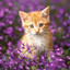 Giftoflove
