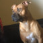 roco