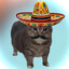 ElMeowcho