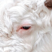 thinktwiceidonteventhinkonce