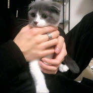 我曾路过她的心♥