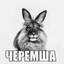 Черемша