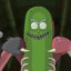 $PickleRick$