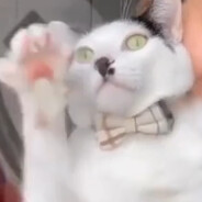 ChwDr
