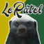 le ratel