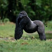 CAPRI-SUN pas de pub c pas cool