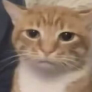 不是恋爱脑.是认真