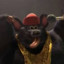 Biggie Cheese