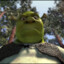 Gnom