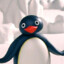 Pingu