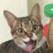 职业选手吕郑豪