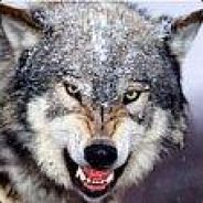 别拦我  我还能送