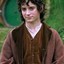 Frodo Baggins