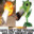 Fizz avatar