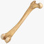 boner