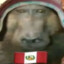 PERUVIAN DOG