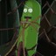 Pickle Rick