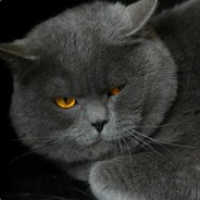 Big Avatar
