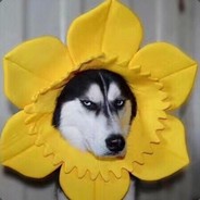 氢氦锂铍硼碳氮氧氟氖钠镁铝硅磷硫氯氩钾钙钪