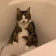 lan kedi - steam id 76561197963489983