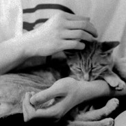 <color=#C63C26>我系叭叭木</color>