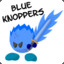 BlueKnoppers