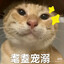 耄耋