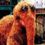 Mr. Snuffleupagus