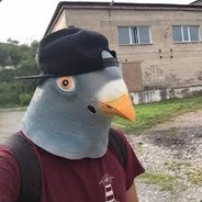 Do Pombo ao Global