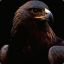 hawk 81860