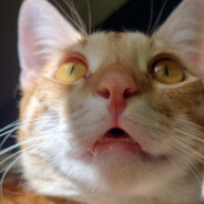 Pomiaan avatar