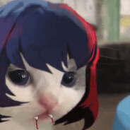 evil cat