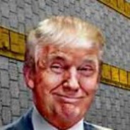 Great Wall Of Trump