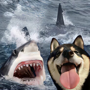 PP(三角洲行动）