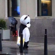 我真的需要忘干净