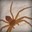 murjaani