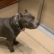 Tarduuuuuuuuuuuuuuuu's avatar