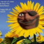 Lil Albinuta.RO