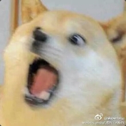 羊头怪