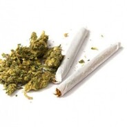 Fumando el Troncho =)