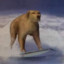 Surfin&#039; Dog