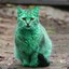 _GreeN_CaT_