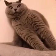 我怎么这么好看