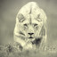 Unshaped_Lioness