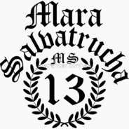 MS13