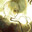 anzu