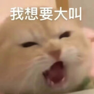 悲伤猫猫头