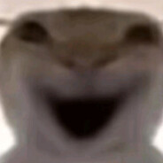 我错了你别打了